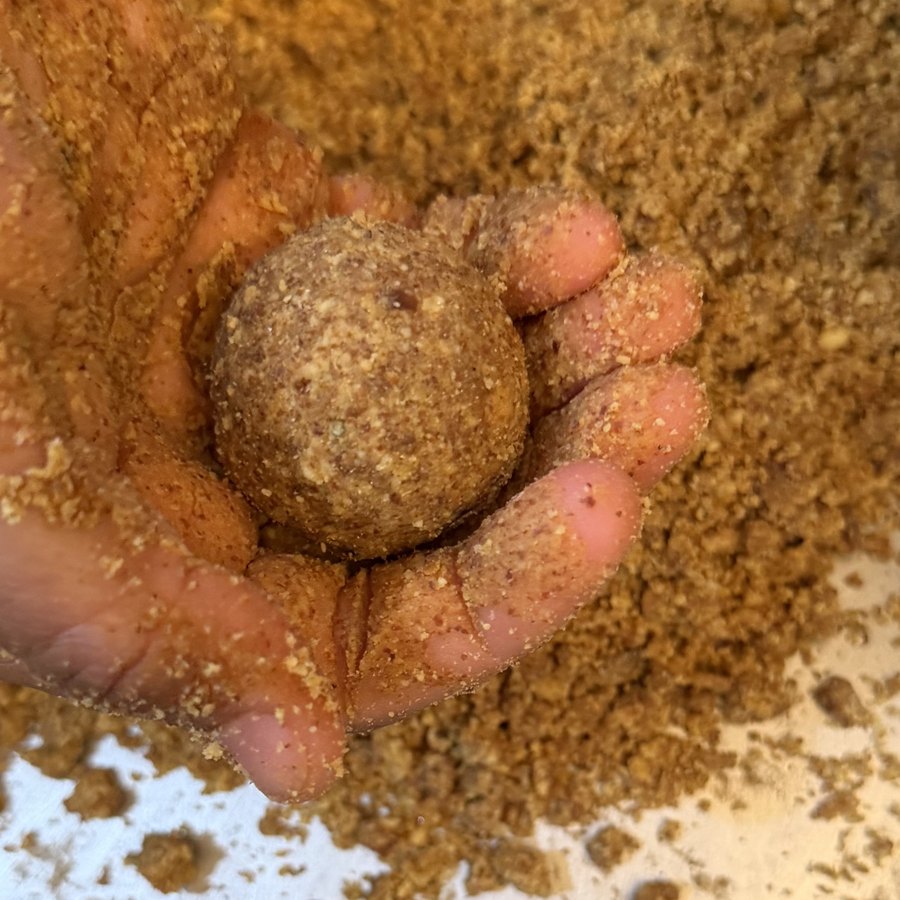 A laddoo cupped in one hand above the bowl of ground nuts, grains and jaggery it was rolled from